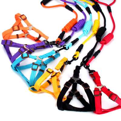 Soft and Comfortable Foam Handle Pet traction Dog Nylon Leashes with Harness